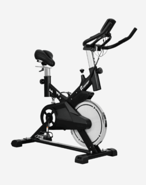 Bicicleta Wer Plus